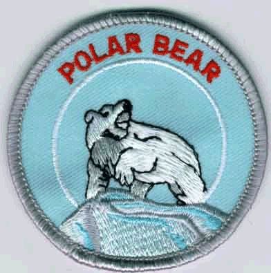 Polar Bear Swim Patch
